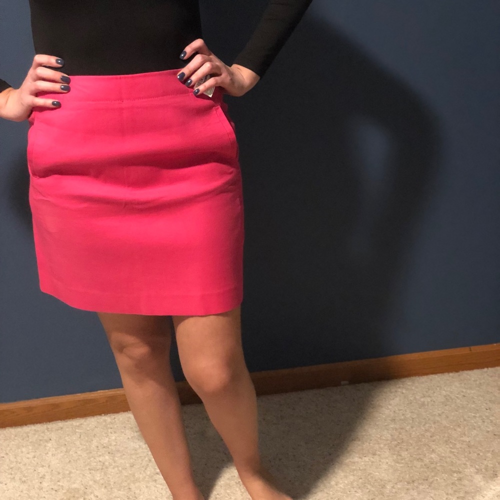 SOLD — Ann Taylor LOFT | pink skirt size 6 Petite